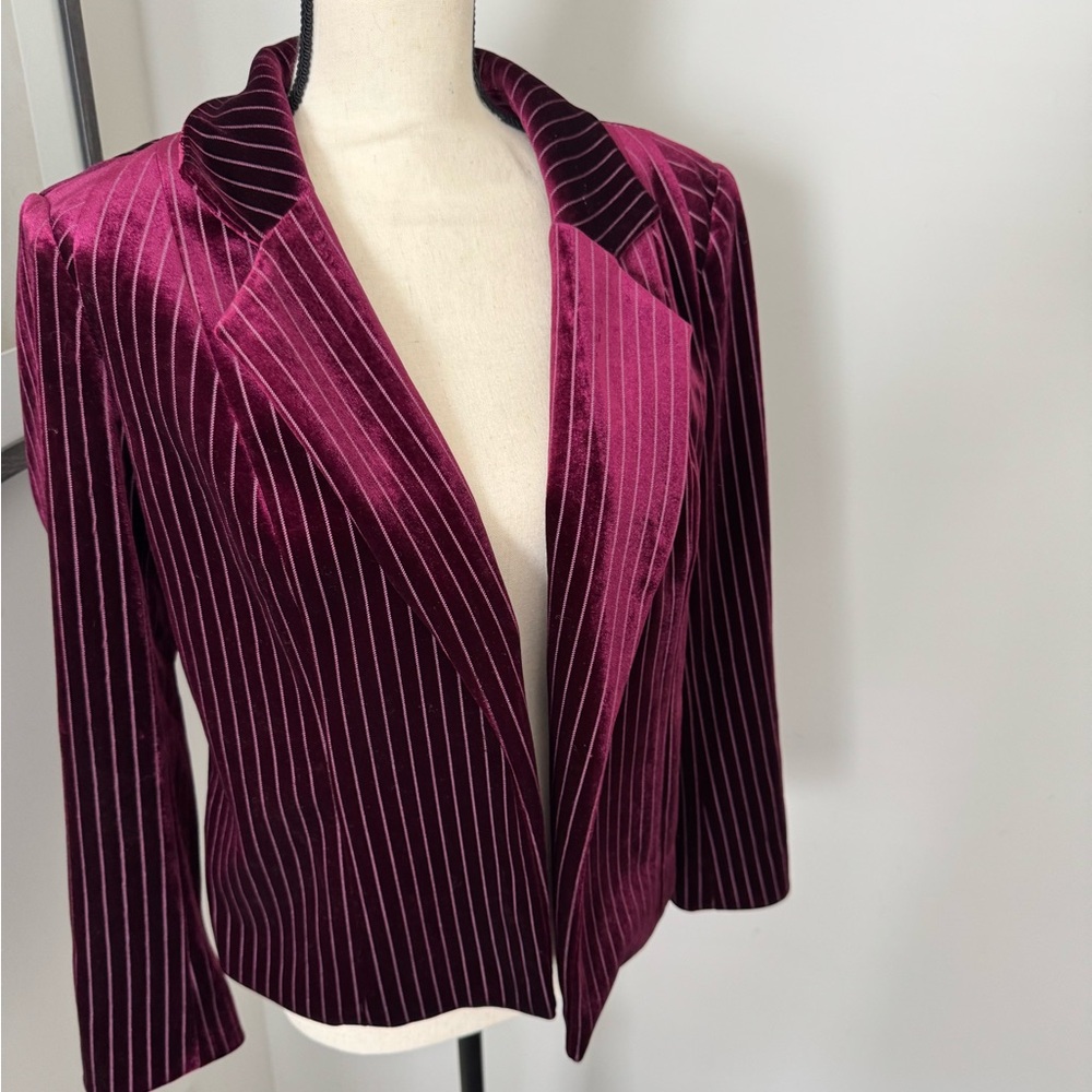 Leith Velvet Blazer - Rich burgundy Stripes. Beautiful- worn once